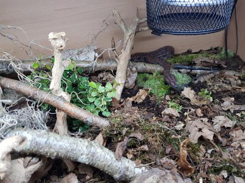 69801201_10156926881328439_4486033614856781824_o