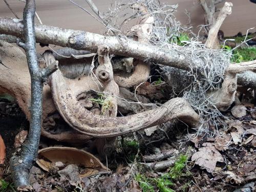 69846705_10156926882823439_4383528795794046976_o