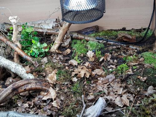 69867657_10156926882468439_4405965228206981120_o