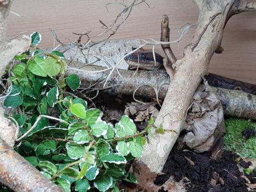 69943298_10156926879858439_8008658726091227136_o