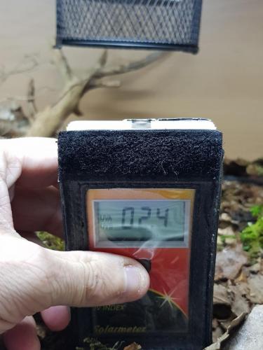 70112582_10156926883333439_1547186376959590400_o